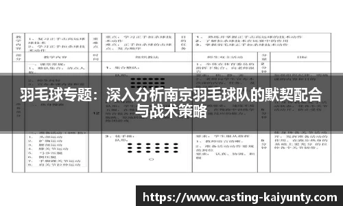 羽毛球专题：深入分析南京羽毛球队的默契配合与战术策略